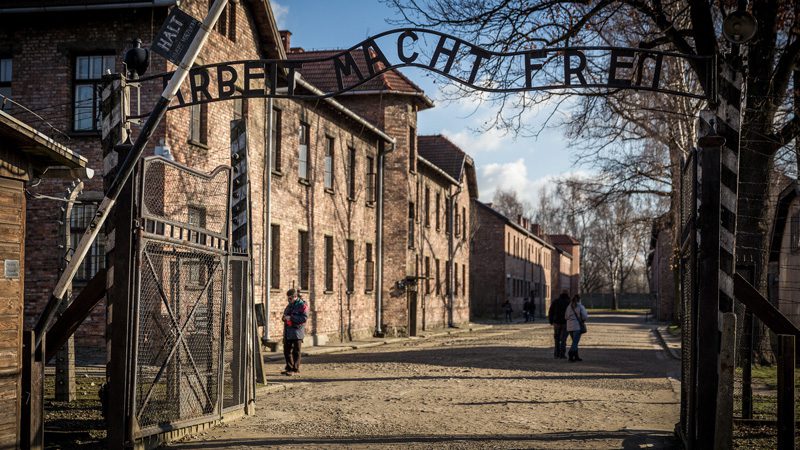 Auschwitz - HET (TA234866)